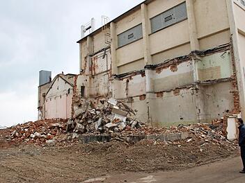 Anstelle einer Industriebrache - unser Foto entstand bei den Abrissarbeiten im vergangenen Jahr - soll eine "grüne Mitte" entstehen.