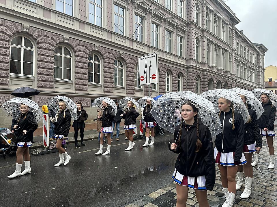 Die sch&ouml;nsten Bilder vom Bamberger Faschingsumzug