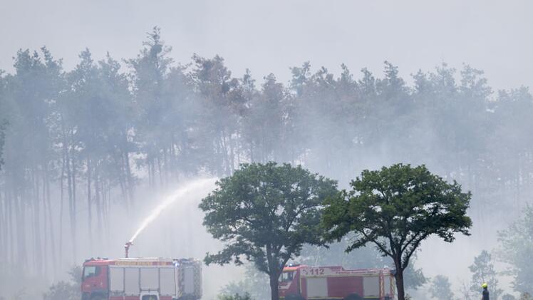 Waldbrand Gohrischheide