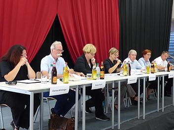 Auf dem Podium (von links): Clarissa Witzlinger, Rainer Frisch, Anette Kramme, Eleonore Birkenstock, Thomas Engel, Andrea Luger und  Andreas Rösch  Foto: Pauline Lindner