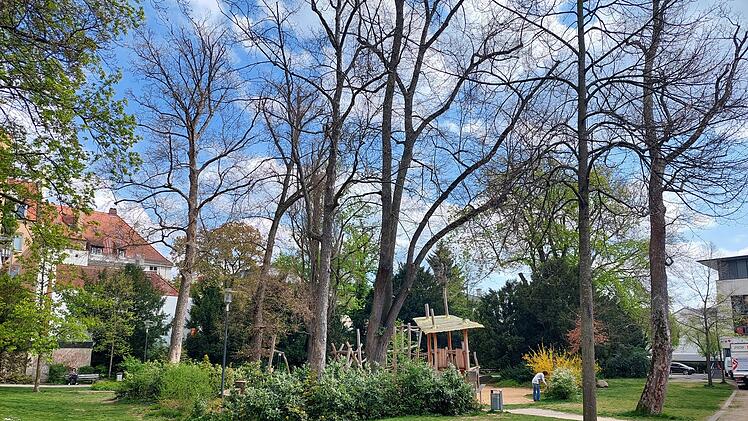 Bamberg: Bank am ETA-Hoffmann-Theater verschwunden - Stadt erkl&auml;rt den Grund