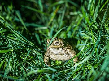 Symbolfoto:  Frank Rumpenhorst, dpa