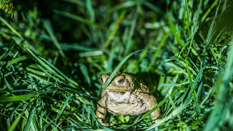 Symbolfoto:  Frank Rumpenhorst, dpa