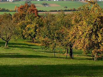 "Ernteerlebnis Fr&auml;nkische Schweiz": Urlaub auf dem Obstbauernhof