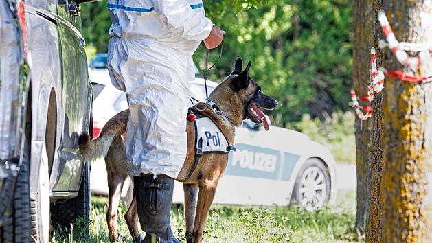 Vermisstensuche endet tragisch: 77-Jährige aus dem Kreis Forchheim tot in Bach aufgefunden