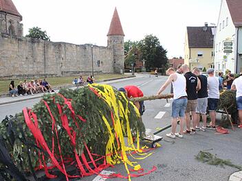 Der Burschenverein Concordia beim Aufstellen des 25 Meter hohen Kerwabaumes am Lindenplatz vor der Kirchenburg Foto: fra-press
