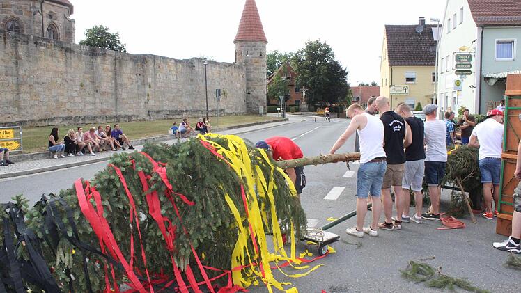 Der Burschenverein Concordia beim Aufstellen des 25 Meter hohen Kerwabaumes am Lindenplatz vor der Kirchenburg Foto: fra-press