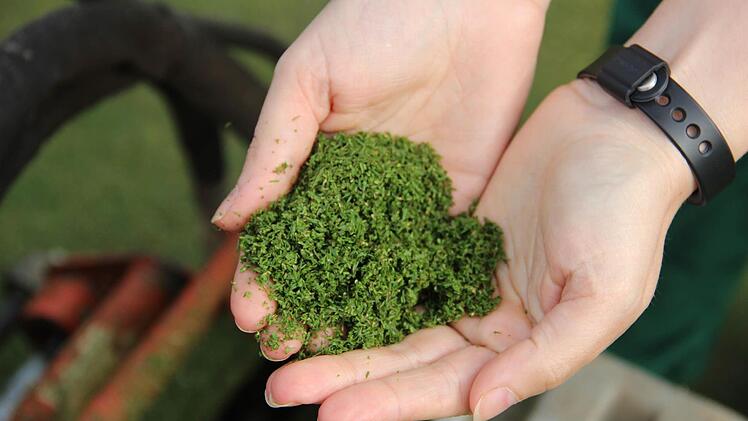 Das frisch gemähte Gras ist so fein abgeschnitten, dass es sich in der Hand wie feiner Sand anfühlt. Foto: Katharina Müller-Sanke