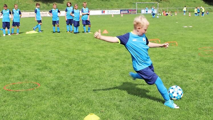 Posieren können die Teilnehmer an der Fußballschule in Wachenroth auch schon wie die Großen (Foto oben). Aber sie haben auch viel gelernt. Die Nachwuchsfußballer traten zum Torschuss aus dem Lauf an.
