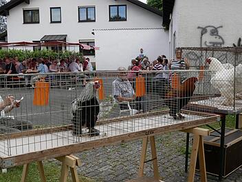 Das Krähen der edlen Rassehähne wurde zehn Minuten lang gezählt. Die Fachjury mit  Armin Bechmann (vorn) und Burkhard Pertsch nahm genüsslich Platz und lauschte und dokumentierte. Foto: Manja von Nida