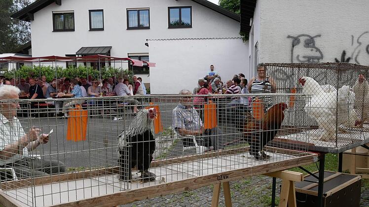 Das Krähen der edlen Rassehähne wurde zehn Minuten lang gezählt. Die Fachjury mit  Armin Bechmann (vorn) und Burkhard Pertsch nahm genüsslich Platz und lauschte und dokumentierte. Foto: Manja von Nida