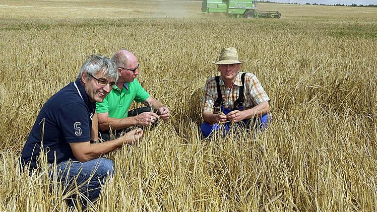 Derzeit läuft die Getreideernte im Landkreis Coburg auf Hochtouren. Hans Rebelein, Gerhard Ehrlich und Jan Schrijer   setzen darauf, dass ein paar trockene Tage die Saison noch einigermaßen retten können. Foto: Berthold Köhler