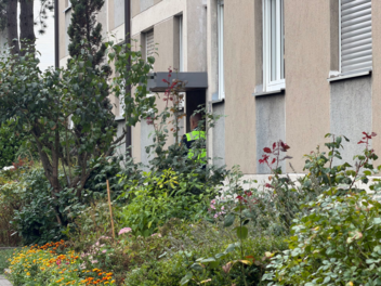T&ouml;tungsdelikt in N&uuml;rnberger Wohnung: Polizei nimmt Verd&auml;chtigen (20) fest