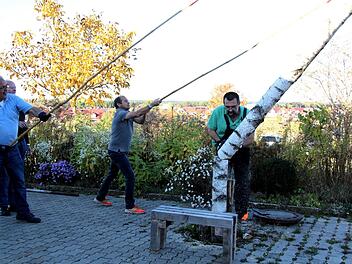 Der Maibaum wird gefällt und dem Kachelofen im Vereinsheim zugeführt. Foto: Richard Sänger