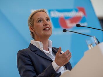 Fraktionssitzungen im Bundestag - AfD