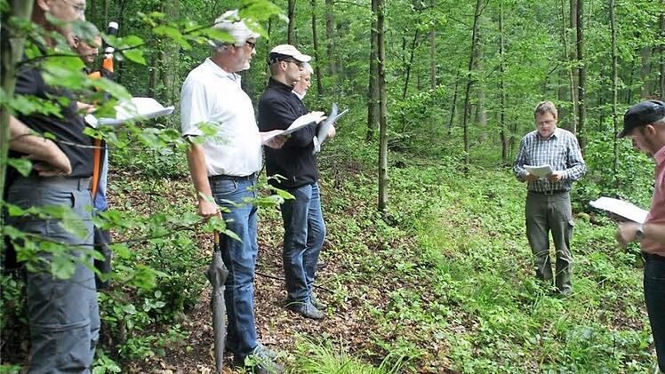 Die Stadträte folgen aufmerksam den Ausführungen von Stadtförster Rainer Fell. Fotos: bag