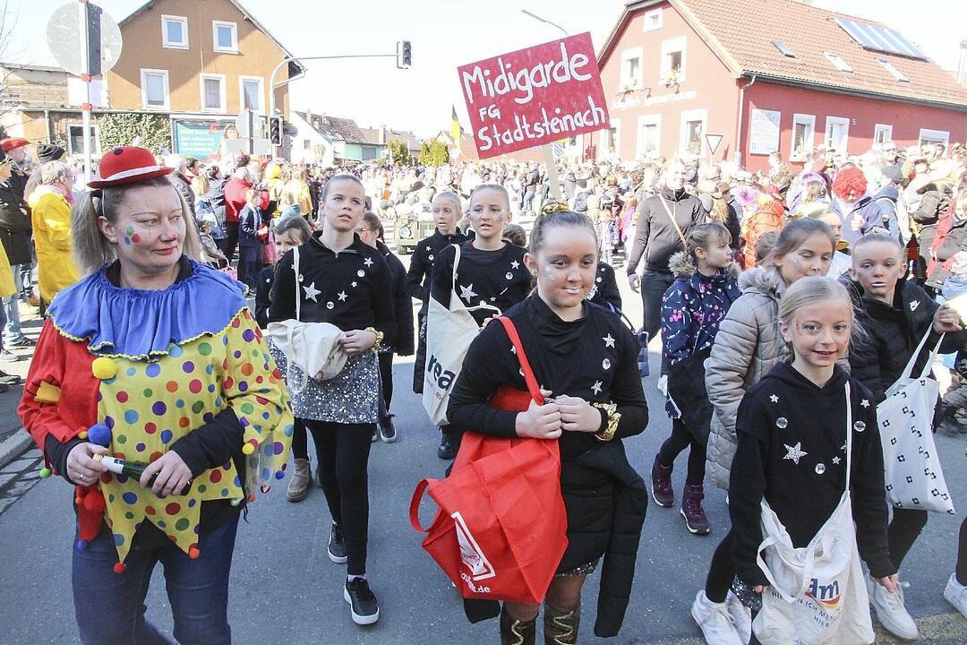 Fasching 2025 in Stadtsteinach!