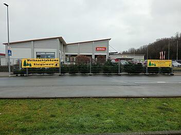 Landkreis Bamberg: Diebe klauen Weihnachtsbäume - jetzt kündigt Firma Konsequenzen an