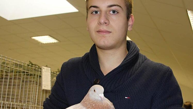 "Wenn meine Tiere da erfolgreich sind, ist es für mich immer wieder Ansporn auf weitere Zuchterfolge hinzuarbeiten", sagt Julian Aman, der hier eine seiner Tauben, "Texaner kennfarbig" in Händen hält. Foto: Helmut Will