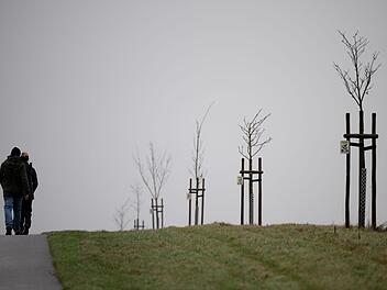 Wetter in Franken: Schneegestöber folgt auf Dauerregen - doch am Wochenende winkt die Warm-Wende Wetter in Franken: Schneegestöber folgt auf Dauerregen - doch am Wochenende winkt die Warm-Wende