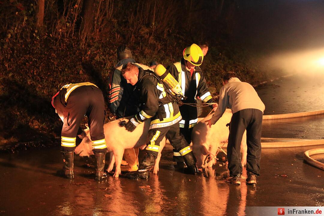 Großeinsatz: Scheunenbrand in Seigendorf