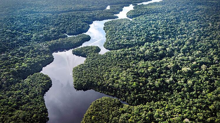 Klimaforschungszentrum im Amazonas