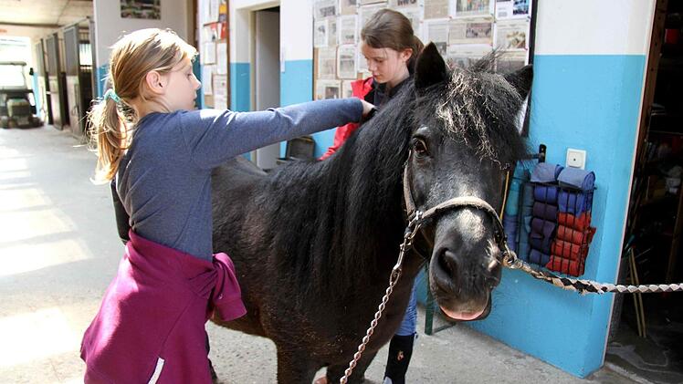 Theresa und Marie verwöhnen das Pony.