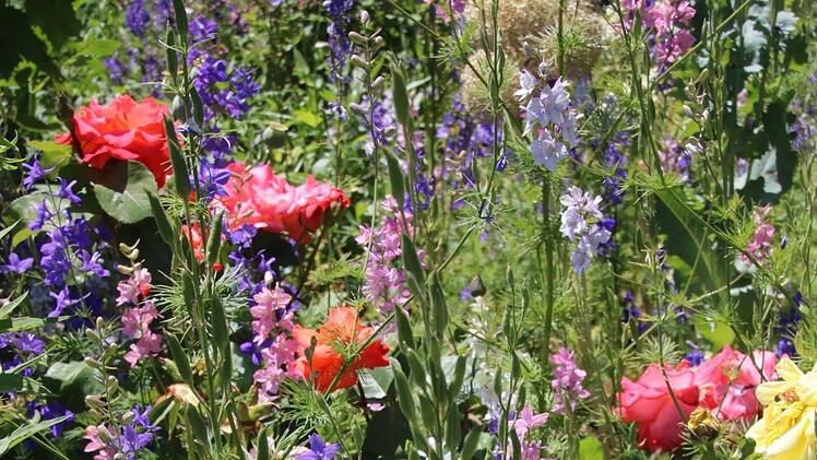 Impressionen aus der Kleingartenanlage Katzbachtal. Foto: Jürgen Gärtner