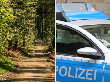 Hammelburg: Polizei muss Pilzsammler aus Wald retten - Frau meldete ihn vermisst