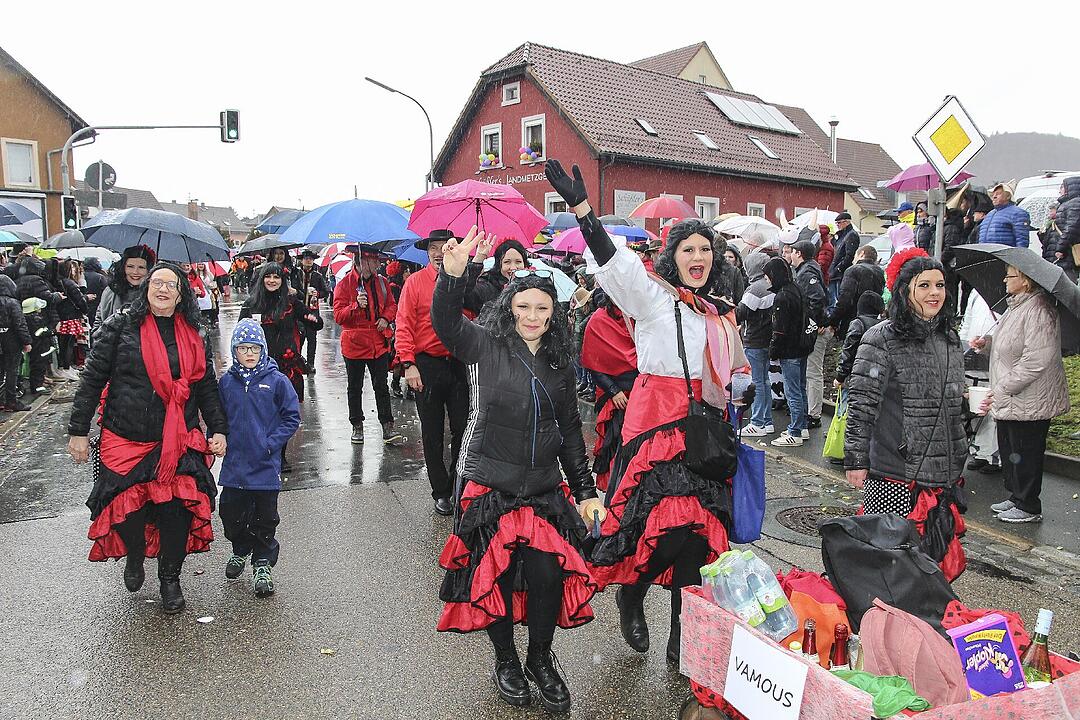 Großer Faschingsumzug  zum Stadtsteinacher Marktplatz