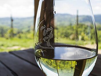 Top-Liste fr&auml;nkische Weine: Das sind die 5 Lieblinge unserer Leser