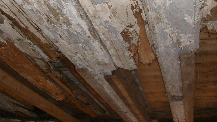 Foto: Petra Malbrich