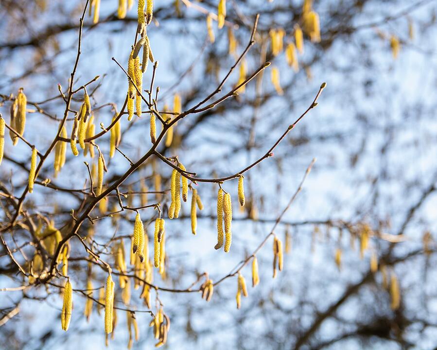 Die schönsten Frühlingsfotos aus Coburg und Umgebung