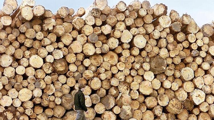 Holz wird auch künftig ein wichtiger Rohstoff sein. Symbolfoto: Patrick Seeger/dpa