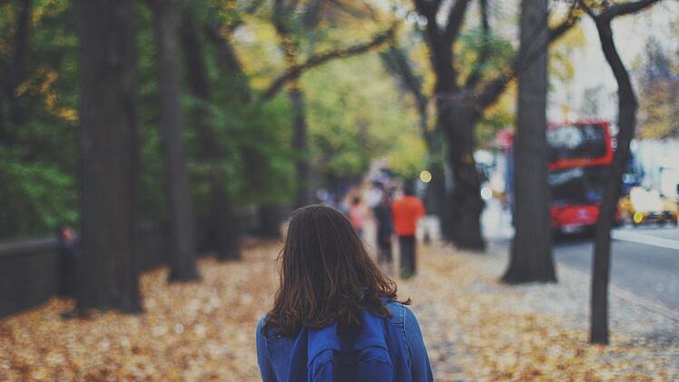 Weil ein Unbekannter in Abenberg im Landkreis Roth ein Grundschulkind aufforderte, ihn nach Hause zu begleiten, überwacht die Polizei nun den Schulweg. Symbolfoto: Pixabay/Free-Photos