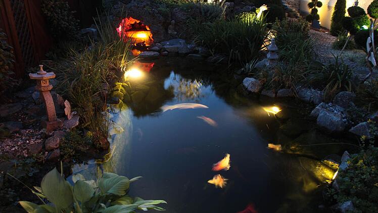 Der beleuchtete Garten der Familie Eichner aus Harsdorf. Foto: Jürgen Gärtner