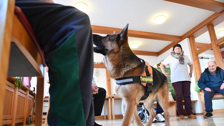 Therapiehund Aramis bei den Senioren im Kulmbacher WohnstiftFoto: Ronald Rinklef