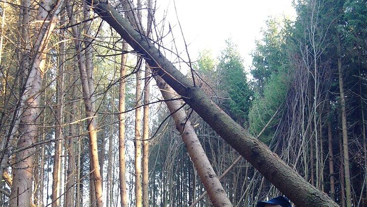 Otto Werdenitz ist entsetzt über die mutwillige Zerstörung von 2500 Quadratmetern seines Waldes. Foto: Stephanie Elm