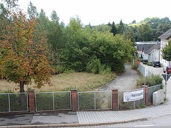 Das Gelände, auf dem der "Annapark" bald zum Einkaufen einladen soll, verwildert langsam. Foto: Thomas Heuchling