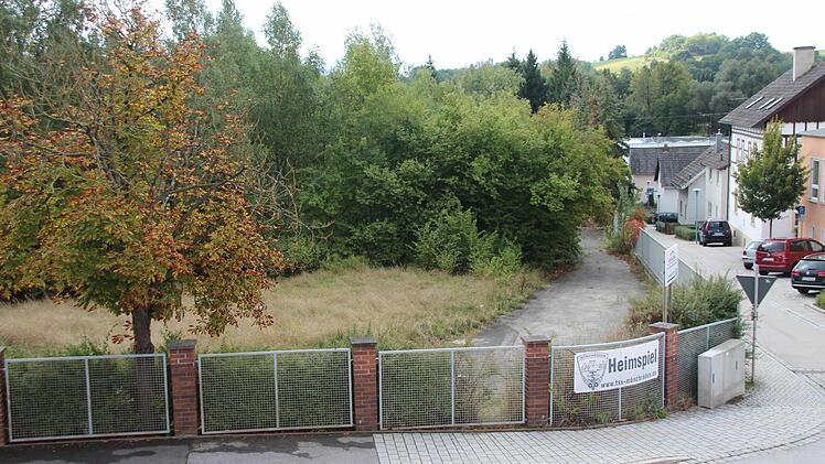 Das Gelände, auf dem der "Annapark" bald zum Einkaufen einladen soll, verwildert langsam. Foto: Thomas Heuchling