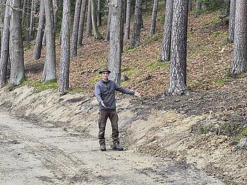 Wut auf das Bayernwerk: Waldbesitzer beklagt Verw&uuml;stung