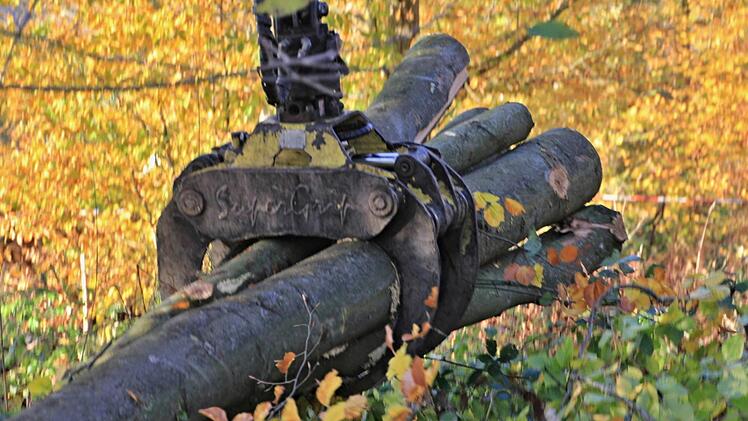 Kräftig packt die Zange des Rückezuges zu und hält meistens mehrere Stämme sicher im Griff.Helmut Will