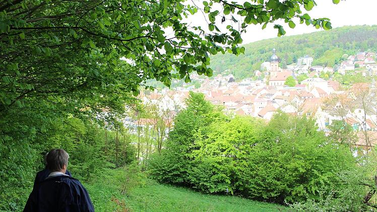 Vorbei am "Kröckel"-Haus am Felsenkeller verläuft ein alter Verbindungsweg ins Leere. Foto: Julia Raab
