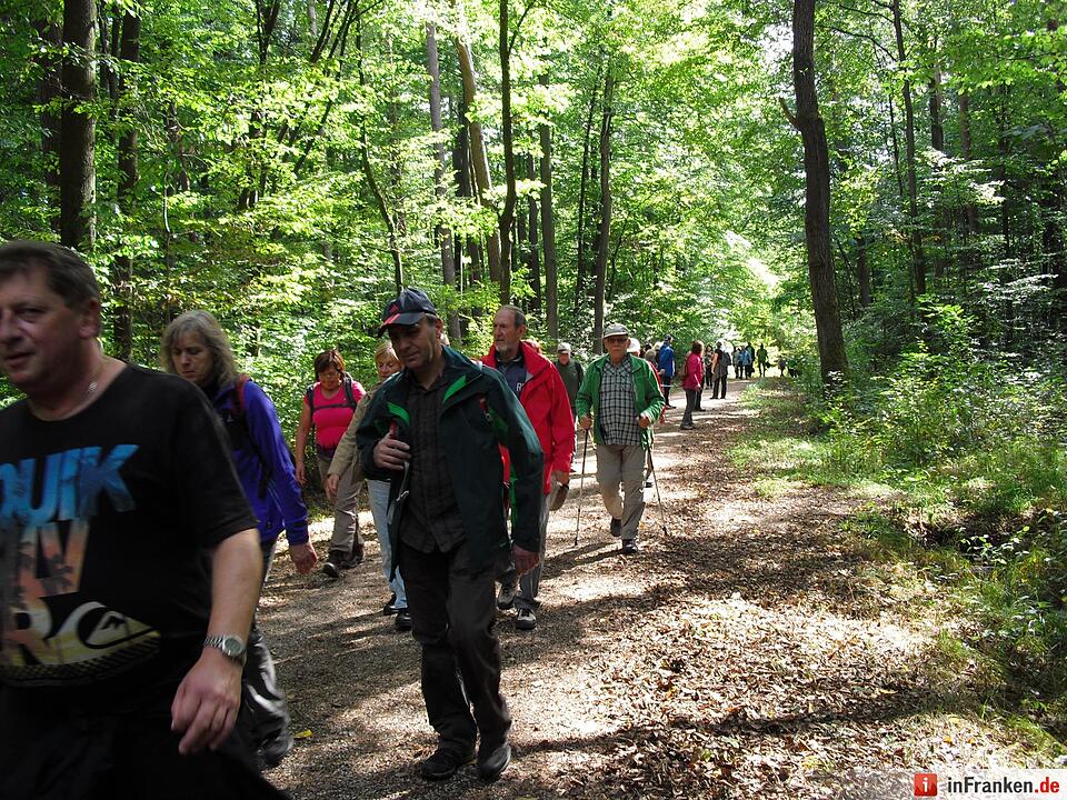 ABO Plus-Herbstwanderung Bamberg