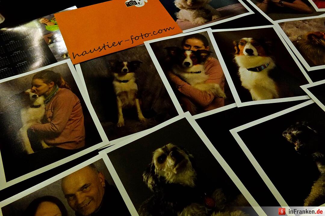 43. Internationale Rassehundeausstellung (Cacib) in Nürnberg