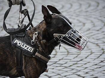Ein Polizeihund hat am Sonntagnachmittag eine Frau am Hauptbahnhof in Nürnberg angesprungen und ins Gleisbett gestoßen.Symbolbild: pixabay.com