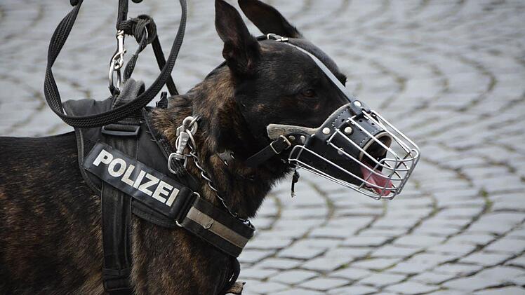 Ein Polizeihund hat am Sonntagnachmittag eine Frau am Hauptbahnhof in Nürnberg angesprungen und ins Gleisbett gestoßen.Symbolbild: pixabay.com
