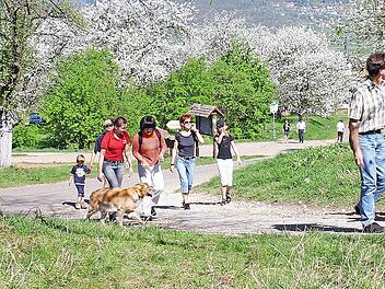 Mit Hund, Kind und Kegel sind Wanderer in der Fränkischen Schweiz unterwegs.  Foto: Josef Hofbauer/Archiv