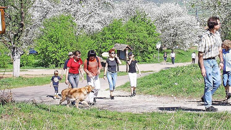 Mit Hund, Kind und Kegel sind Wanderer in der Fränkischen Schweiz unterwegs.  Foto: Josef Hofbauer/Archiv