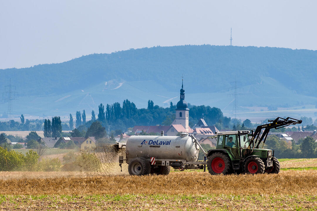 Fotos Konrad Thomann